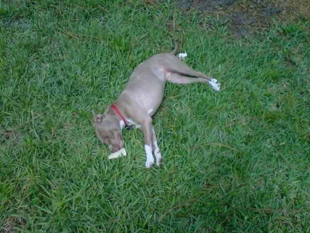 We've seen your rings, your dresses, your jewels.... show me your