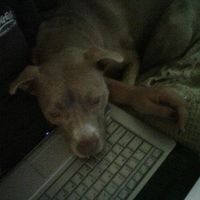 We've seen your rings, your dresses, your jewels.... show me your