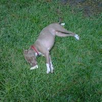 We've seen your rings, your dresses, your jewels.... show me your