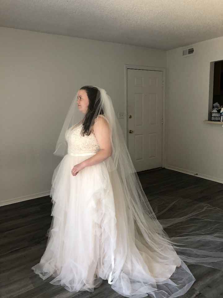 What color veil? underlay a different color - 1