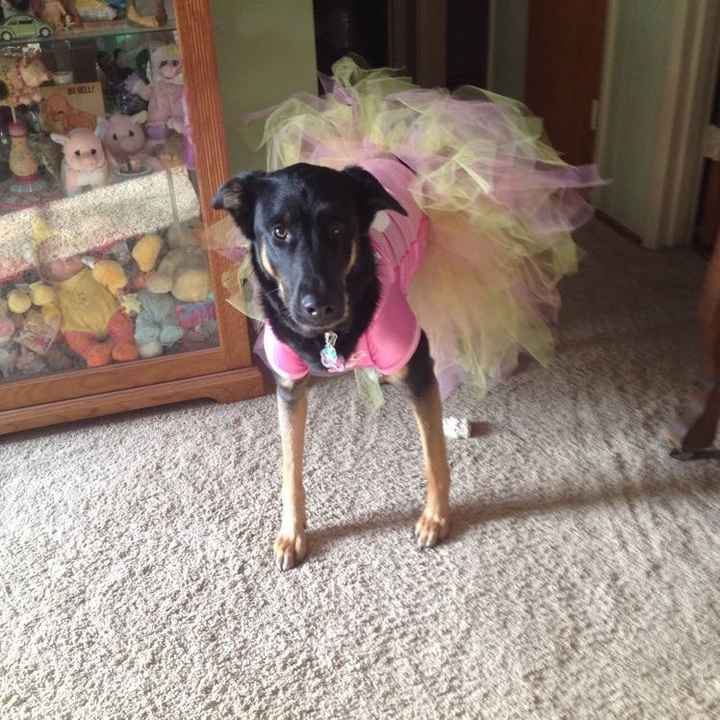 Where's my football fanatic brides!