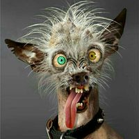 Just need to vent and cry a little