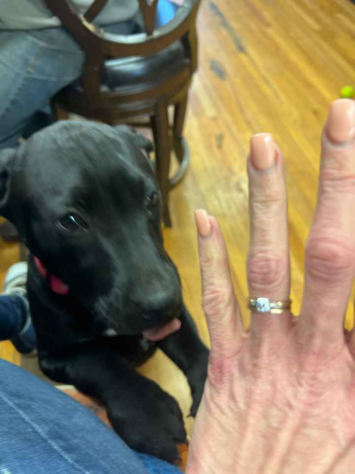 2023 Brides - Show us your ring! - 1