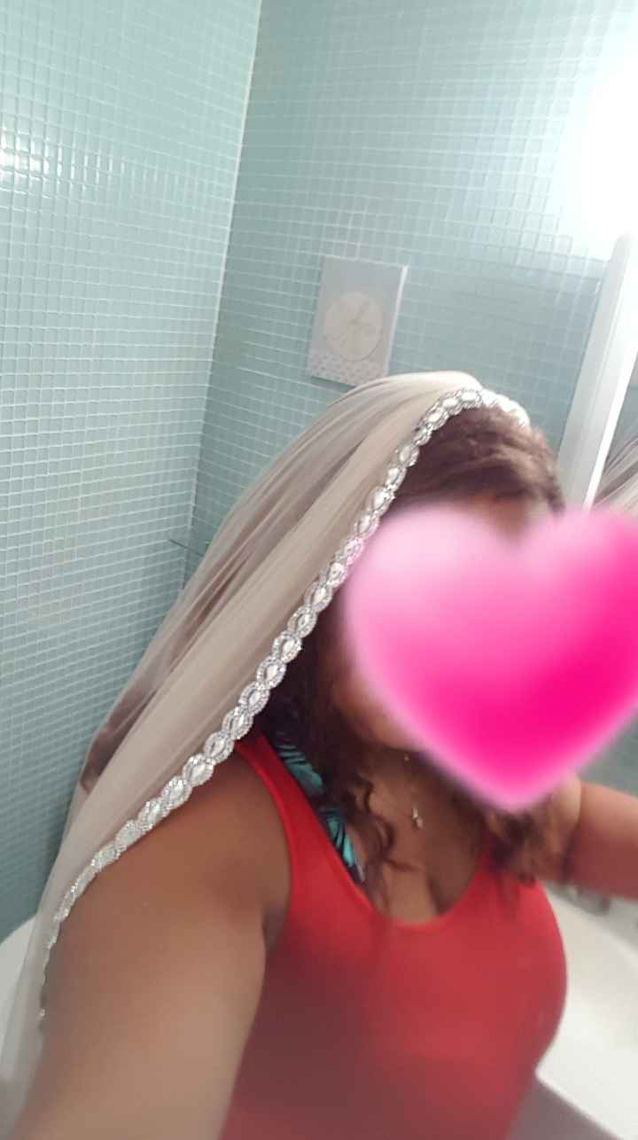 MY DIY Veil