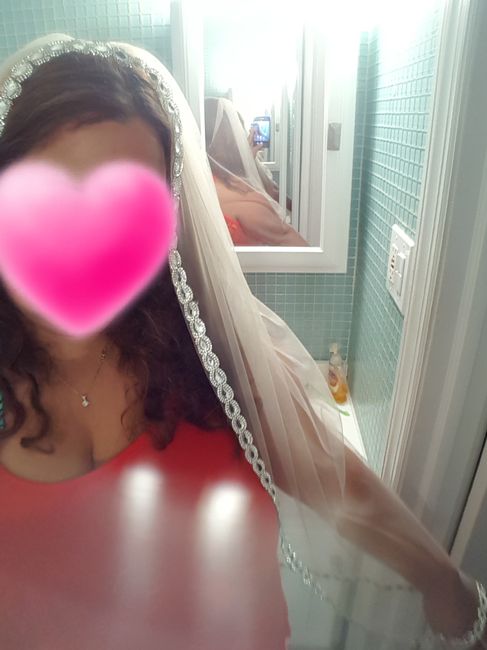 Diy veil??