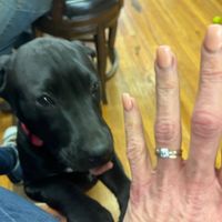2023 Brides - Show us your ring! - 1