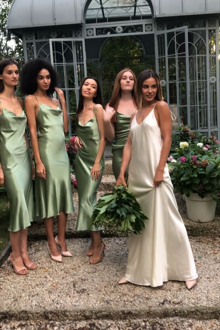 Bridesmaid Dress Help - 1