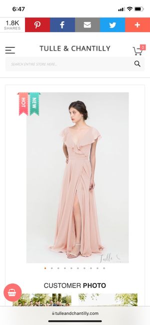 iso these bridesmaid dresses or something similar! 5