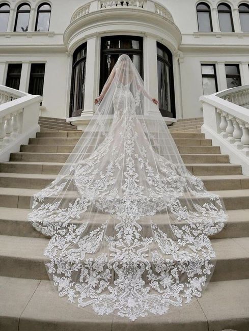Let’s See Your Veil (or headpiece)! - 1