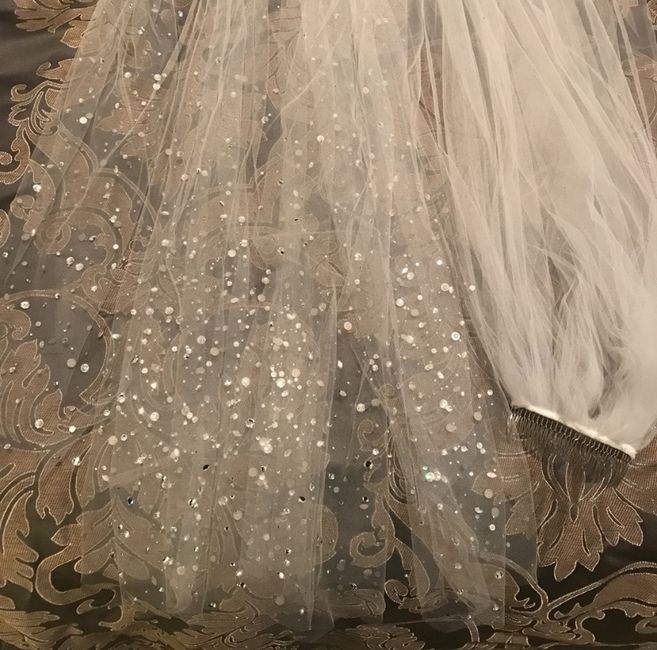 Let’s See Your Veil (or headpiece)! - 1