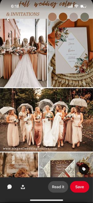 Help!! regretting dress choice because of bridesmaid colours 6