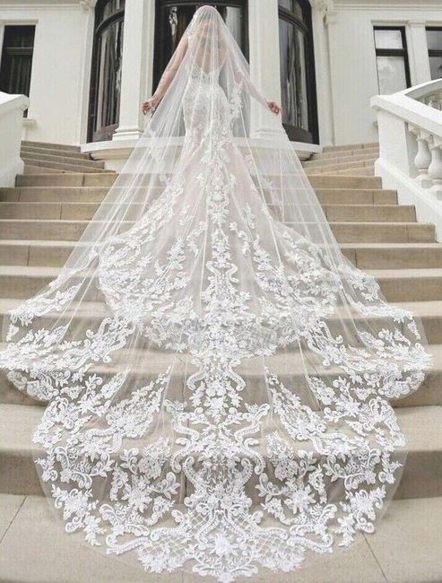 Help with veil length! 4