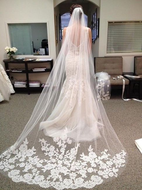 Super long veil or keep what i have… 3