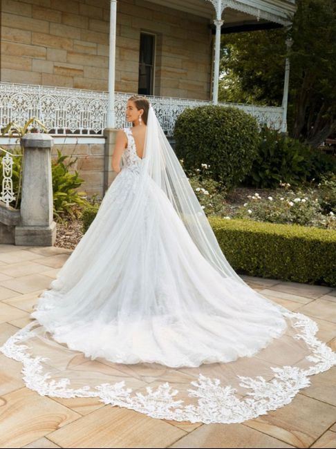 Need help picking a veil!! 4