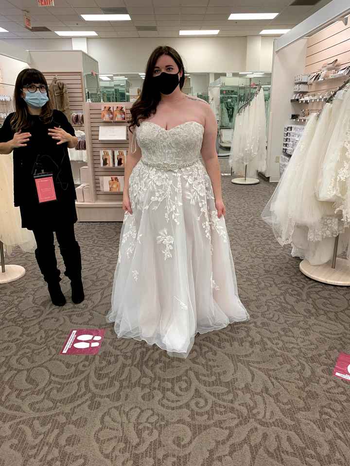 Plus Size Bride - 1
