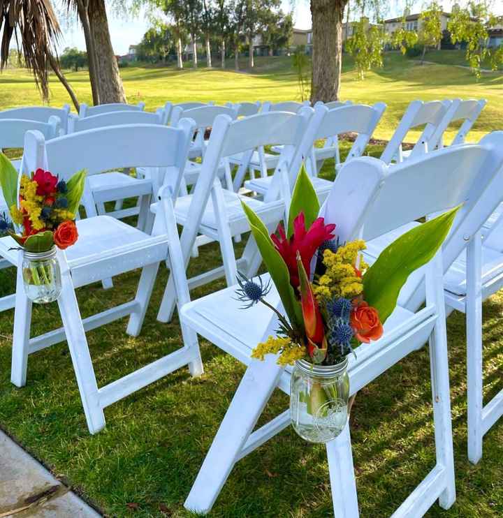 Birds of Paradise - 3