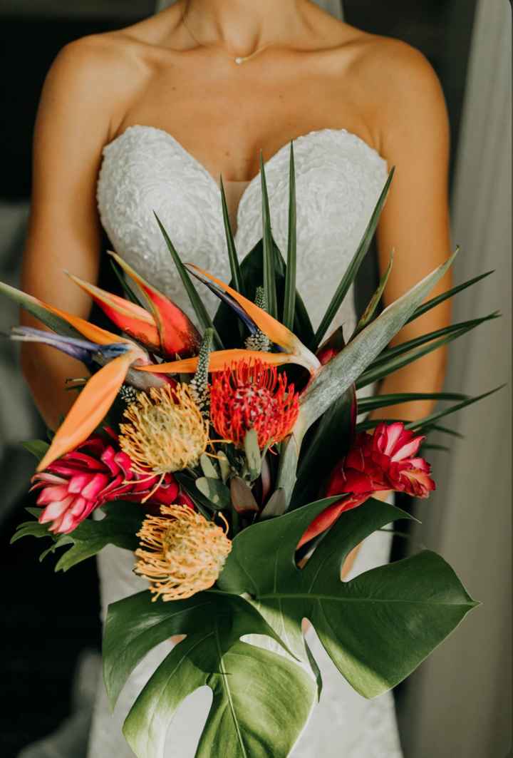 Birds of Paradise - 4