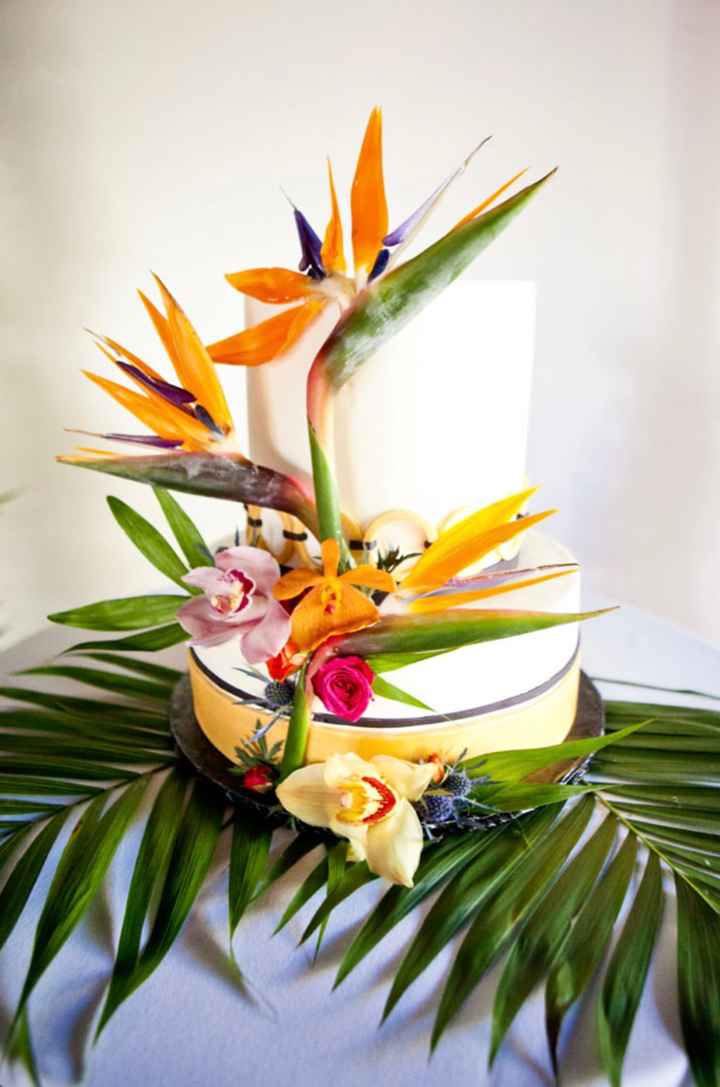 Birds of Paradise - 6