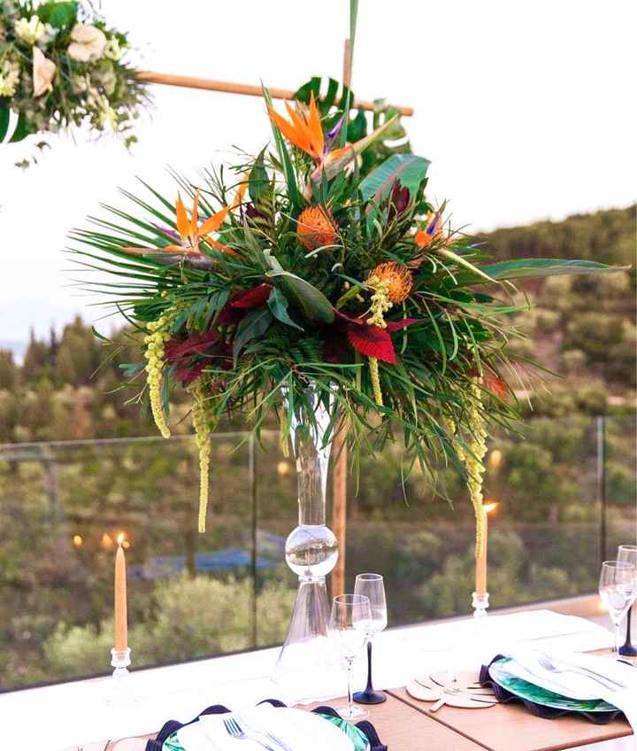 Birds of Paradise - 7