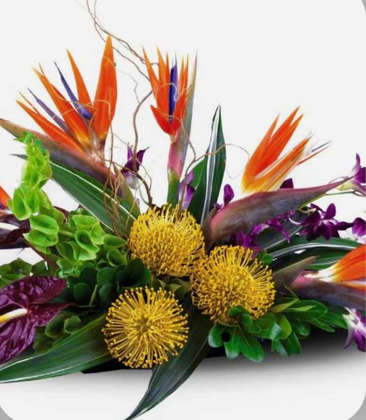 Birds of Paradise - 11