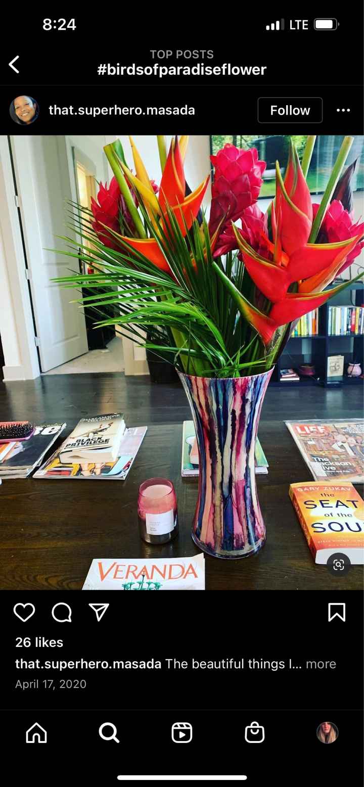 Birds of Paradise - 12