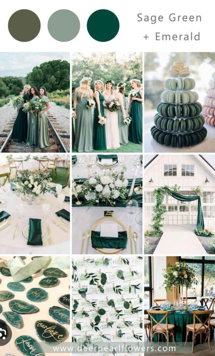 Grooms outfit color - 1