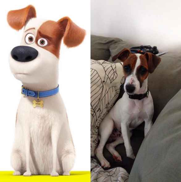 NWR: Pet Owners...Can we play a fun game? :D