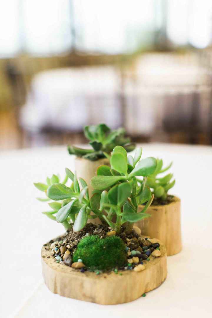 Better a bit late than never - My pro BAM