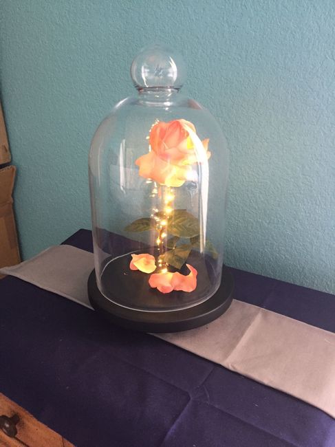 To Decorate or Not? Pics included!