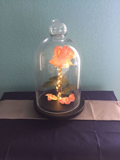 To Decorate or Not? Pics included!