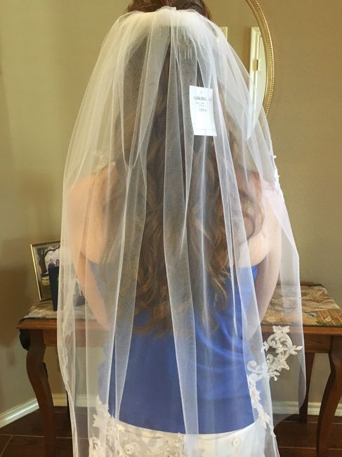 Veils