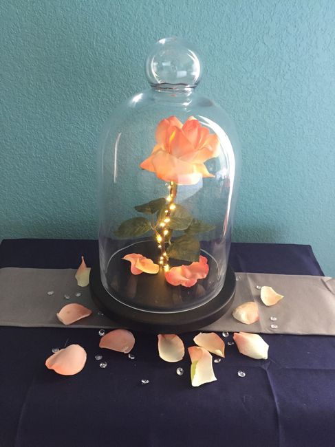 To Decorate or Not? Pics included!