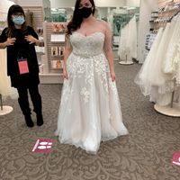 Plus Size Bride - 1