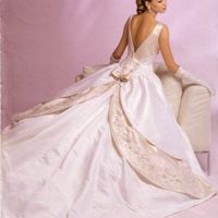 What Does Your Dress Look Like?