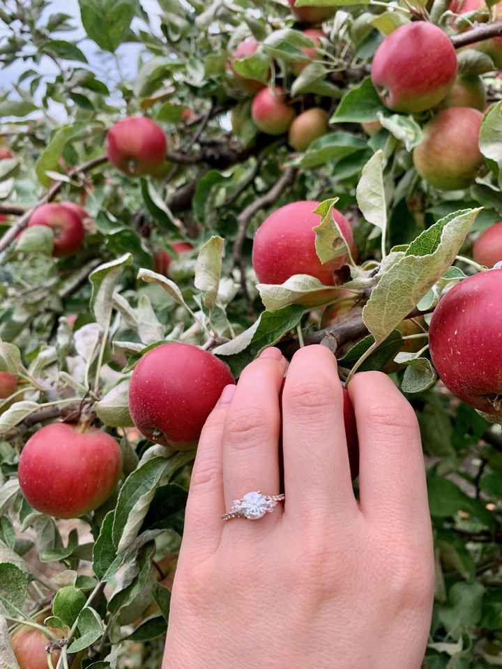 2023 Brides - Show us your ring! - 1