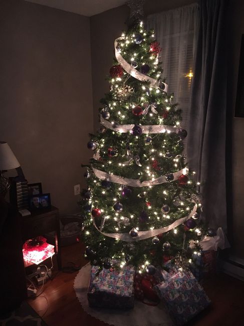 NWR: Finally finished decorating our first Christmas tree!!