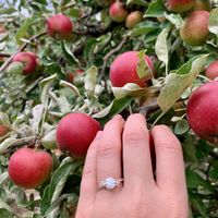 2023 Brides - Show us your ring! - 1