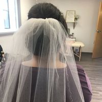 Updo hairstyles with veil (POST YOURS HERE)