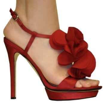 Wedding Shoe Color...
