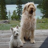 Furbabies!!! Lets show them off!