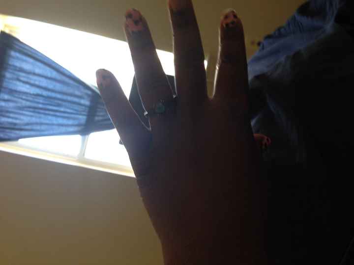 Please Help Me Make a Choice!!!