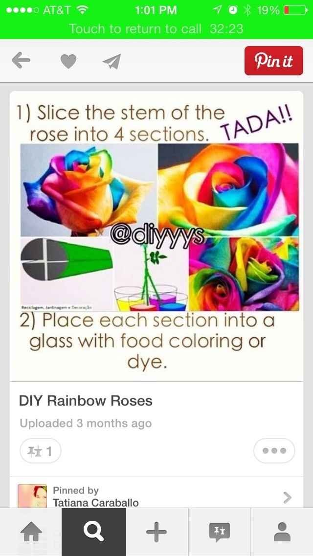 DIY RAINBOW ROSES