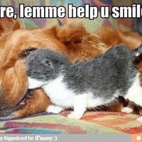 NWR Can't take anymore bad news!