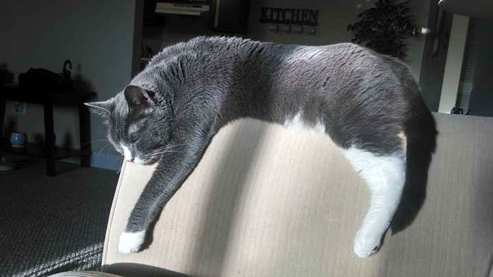 NWR: Mrs. A & J - This one's for you!!