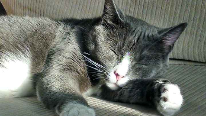 NWR: Mrs. A & J - This one's for you!!