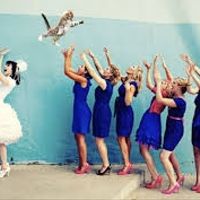 NWR:  cat meme time!