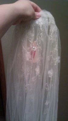 My veil is here...and  *pics added*