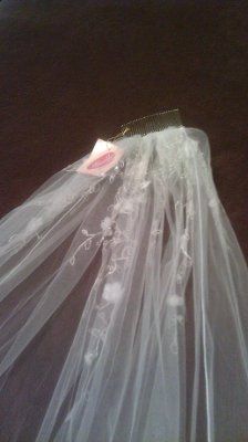 My veil is here...and  *pics added*