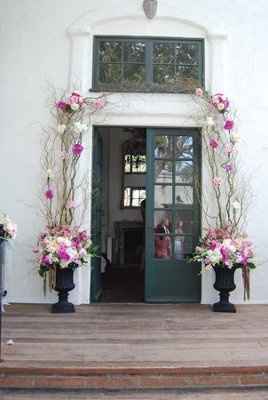 I LOVE Manzanita Trees.. Help me create this please!!!! (**Pic**)