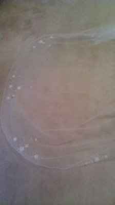 My veil is here...and  *pics added*